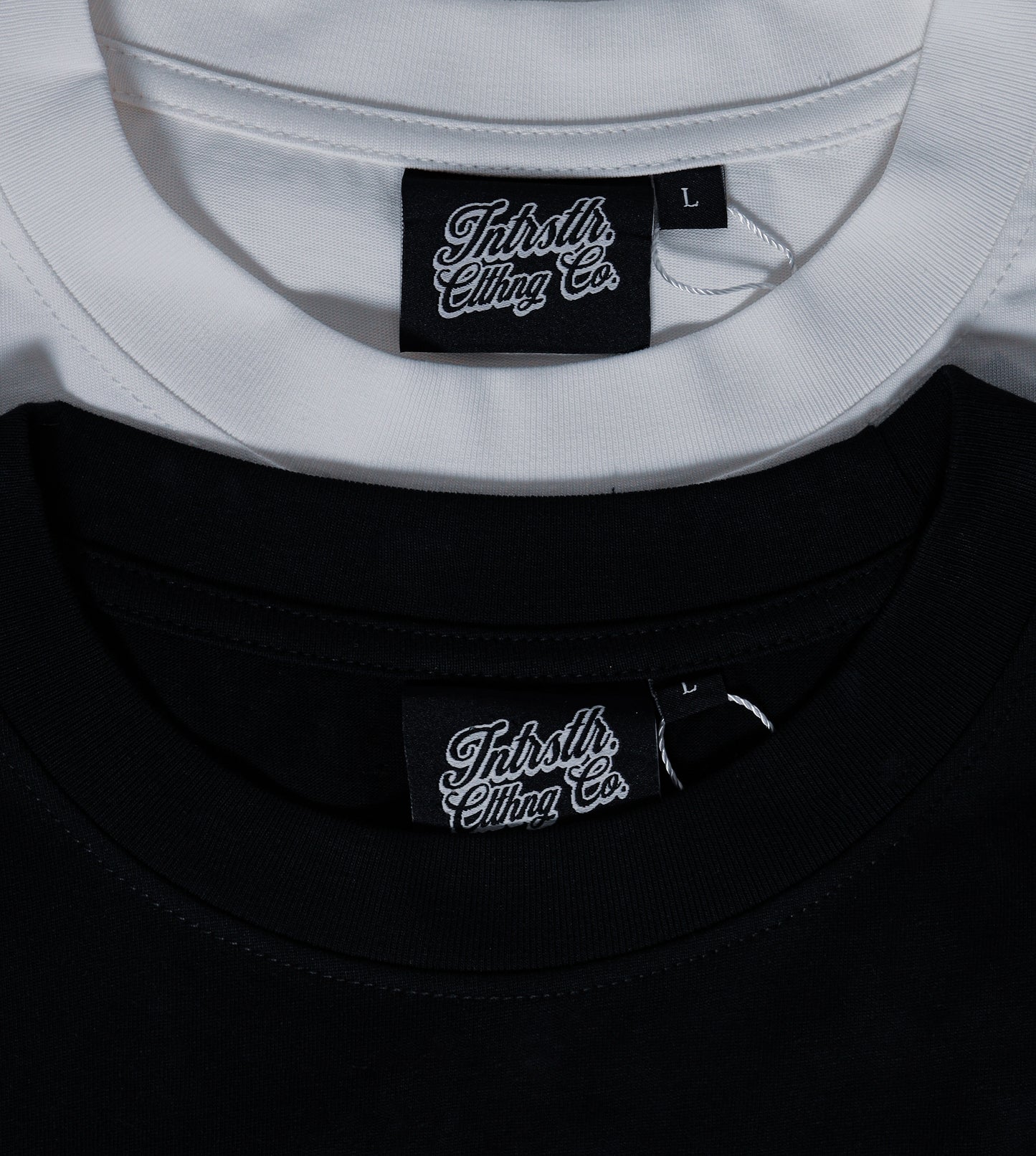 INTRSTLR āStellar Manifestoš®ā Oversized/Heavy Weight Shirt